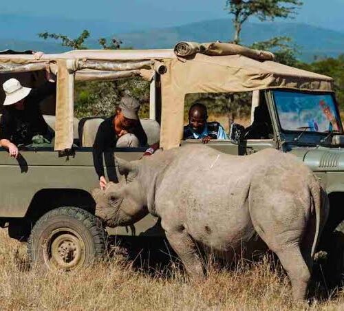 3 Days, 2 Nights Safari To Ol Pejeta Conservancy