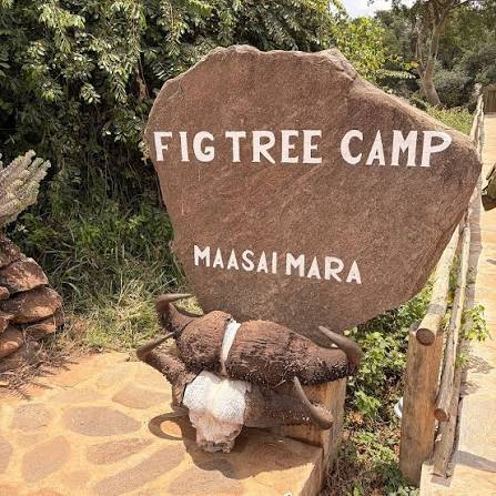 3 days 2 nights private safari to Maasai mara figtree CAMP