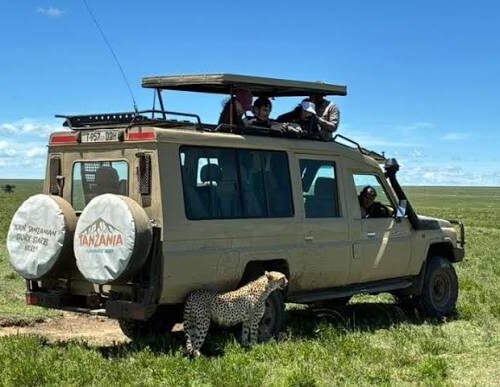 4 Days, 3 Nights Safari To Lake Manyara, Ngorongoro Crater And Serengeti National Park using a 4WD JEEP