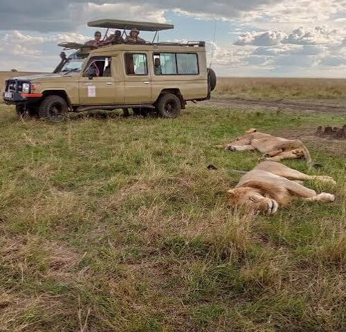 7 DAYS LUXURY 5 STAR LODGE SAFARI USING A LAND CRUISER JEEP