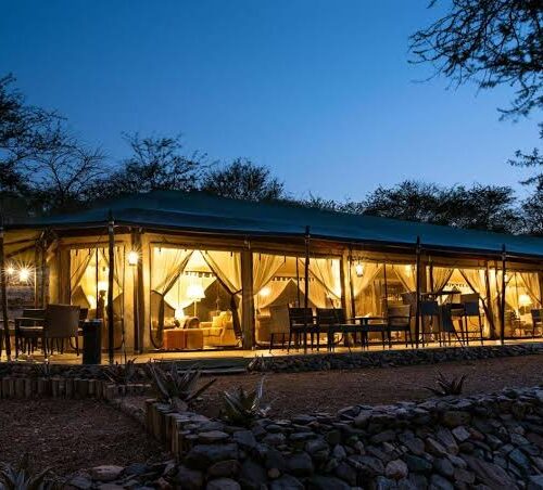 8 Days, 7 Nights Kenya And Tanzania Private Lodging Safari with a complimentary stay at Raha Suites Hotel