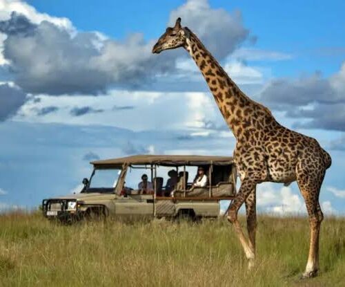 8 Days Maasai Mara- Serengeti 6 star Luxury flying safari