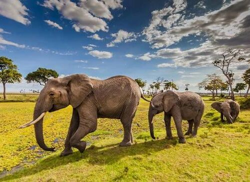 Overnight Tour To Hell’s Gate And Lake Nakuru National Park