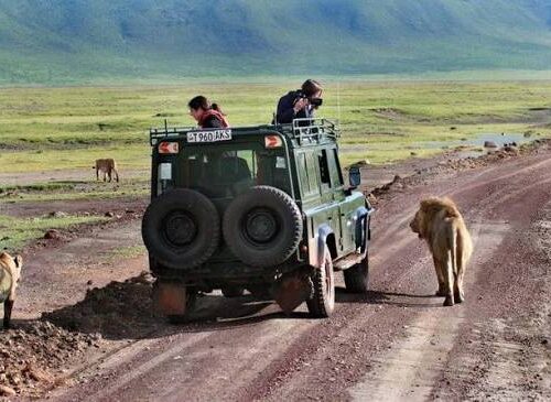 3 Days Lake Manyara, Ngorongoro Crater and Tarangire National Park Private Lodging Safari