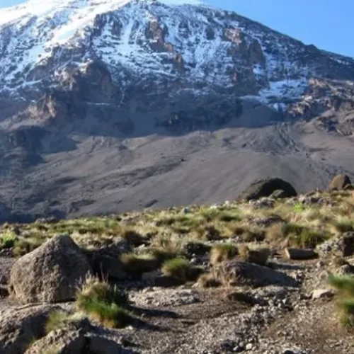 MT. KILIMANJARO CLIMB VIA MARANGU ROUTE 5 DAYS
