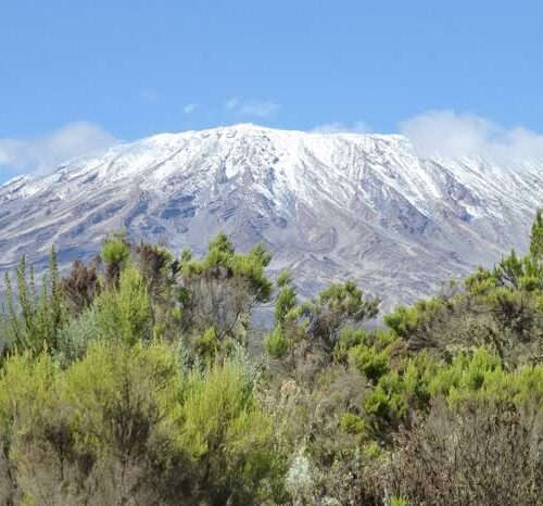 MT. KILIMANJARO CLIMB VIA RONGAI ROUTE 6 DAYS