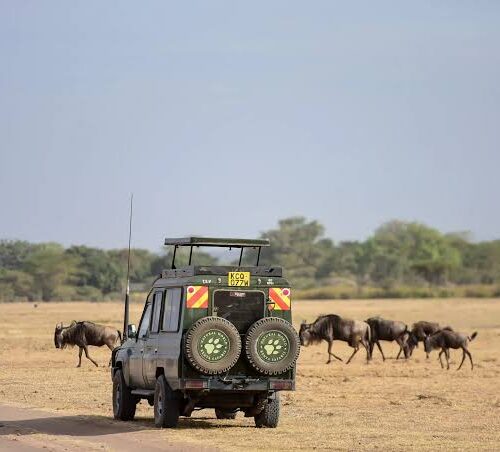 6 Days, 5 Nights Small Group Joining Safari to Maasai Mara, Lake Nakuru And Amboseli National Parks in a 4 x4 Land Cruiser Jeep