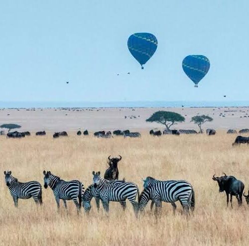 8 Days Maasai Mara- Serengeti 6 star Luxury flying safari