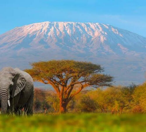 Overnight safari to Mount Kenya