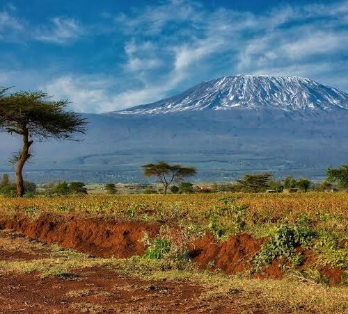 MT. KILIMANJARO CLIMB VIA MARANGU ROUTE 6 DAYS