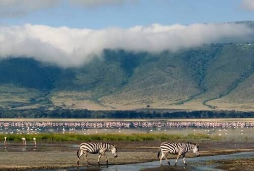 5 Day lake manyara, Serengeti and Ngorongoro Crater