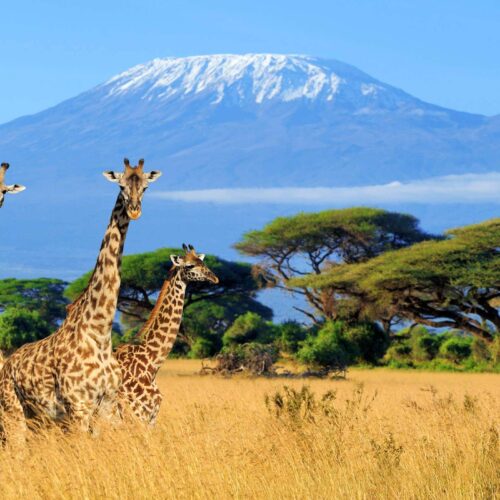 18 DAYS, 17 NIGHTS KENYA, TANZANIA AND MT KILIMANJARO GROUP JOINING PACKAGE