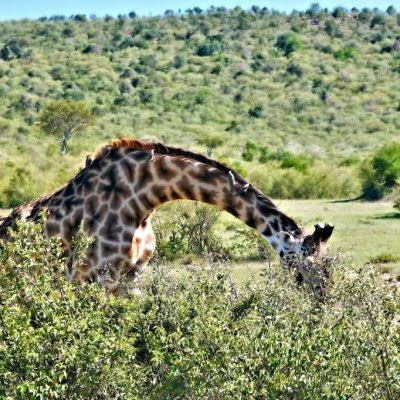 Day Trips To Hell’s Gate National Park And Horse Riding At Sanctuary Farm